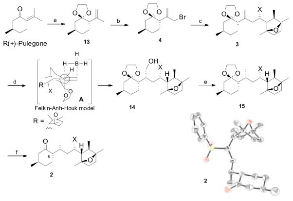 Scheme 3