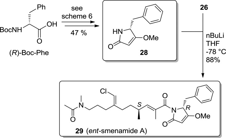 Scheme 8