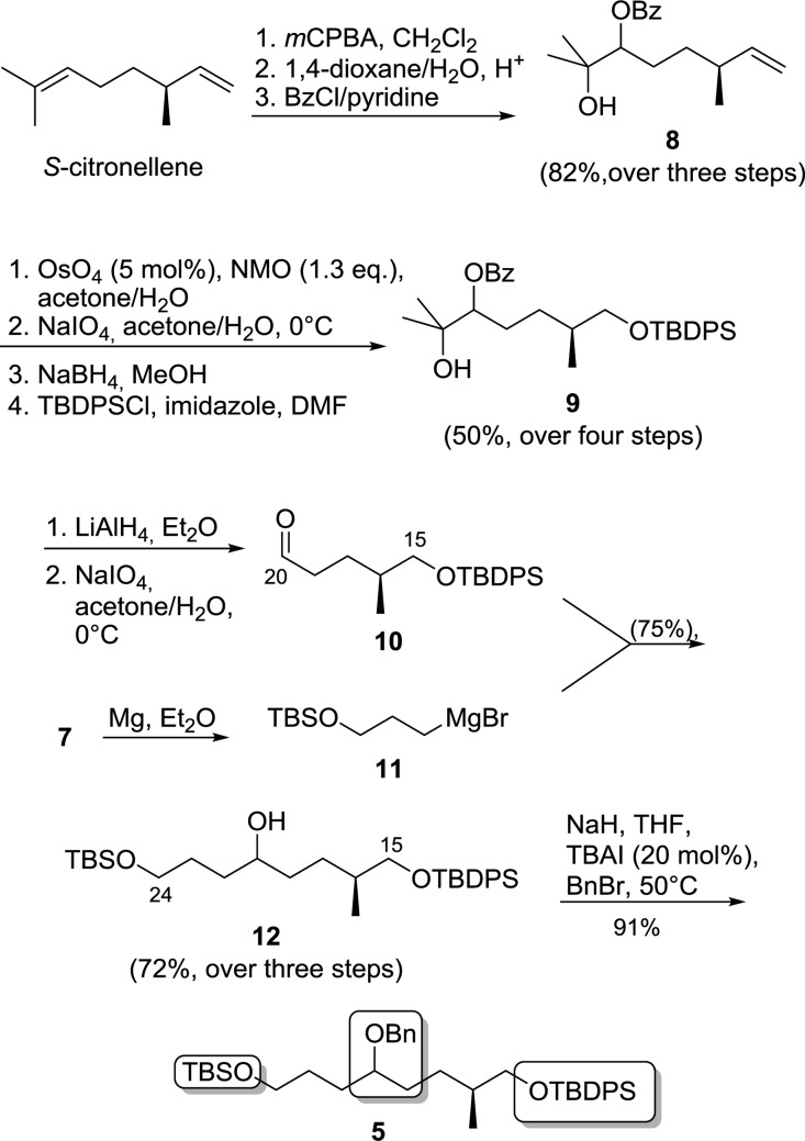 Scheme 2