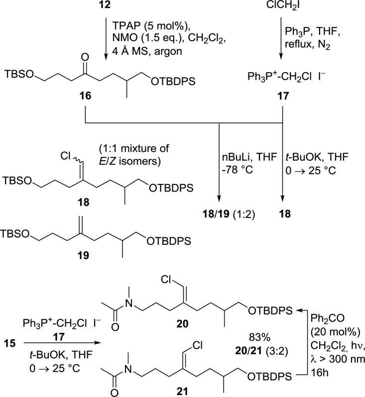 Scheme 4