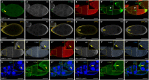 Fig. 4.