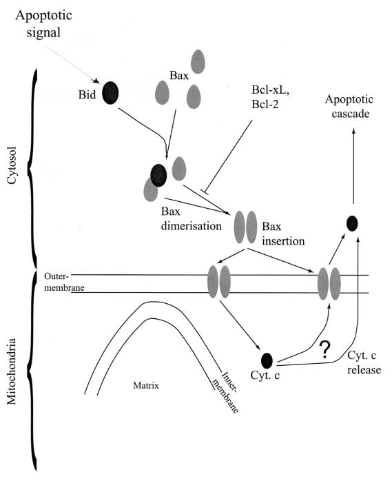 FIG. 7