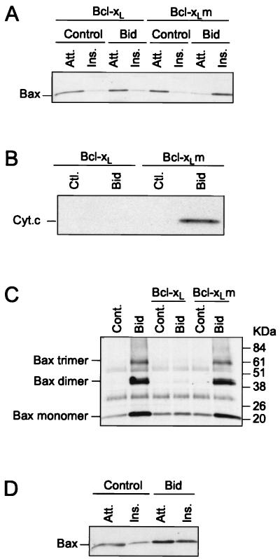 FIG. 5