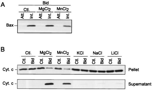 FIG. 6