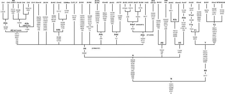 Figure  4. 