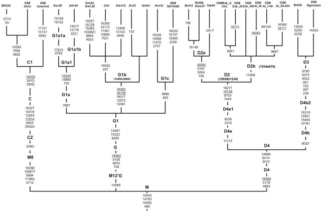 Figure  5. 