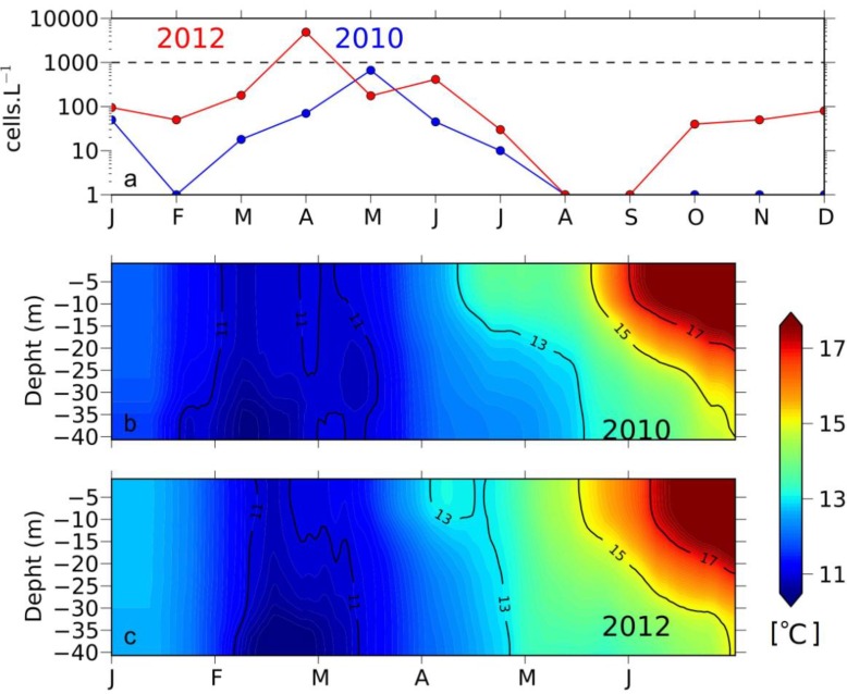 Figure 11