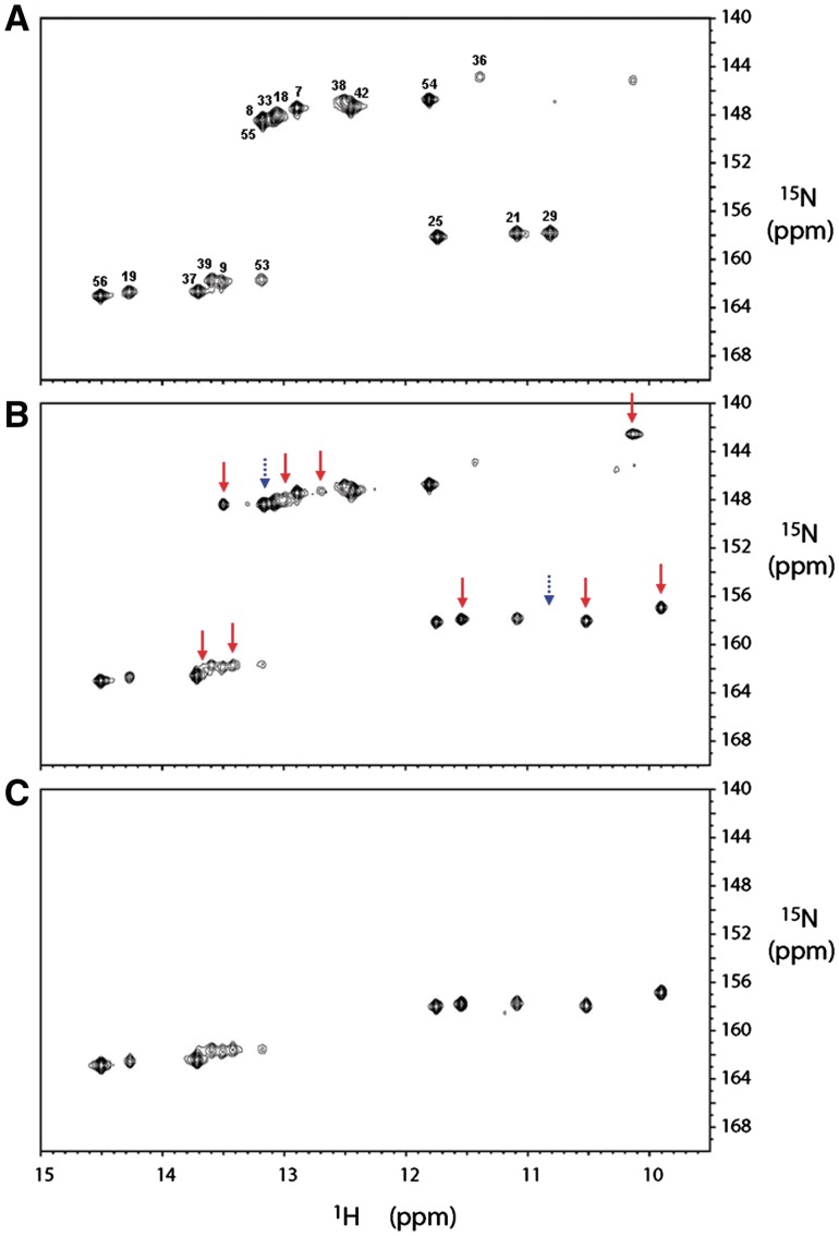 Figure 5.