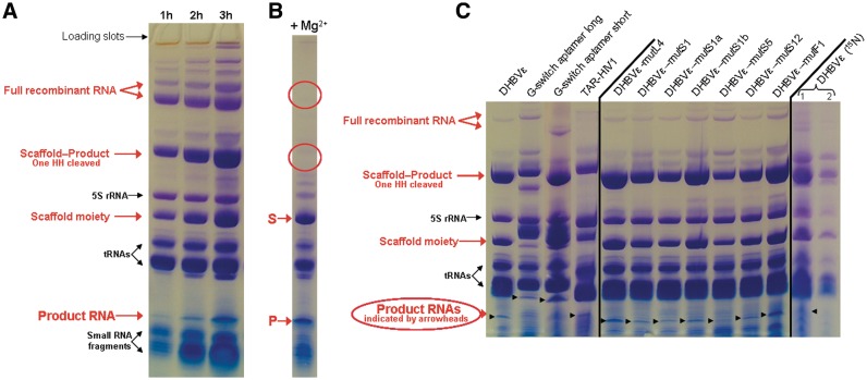 Figure 3.