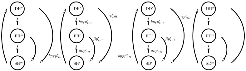 Fig. 5