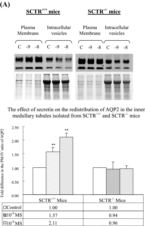 FIG. 6.