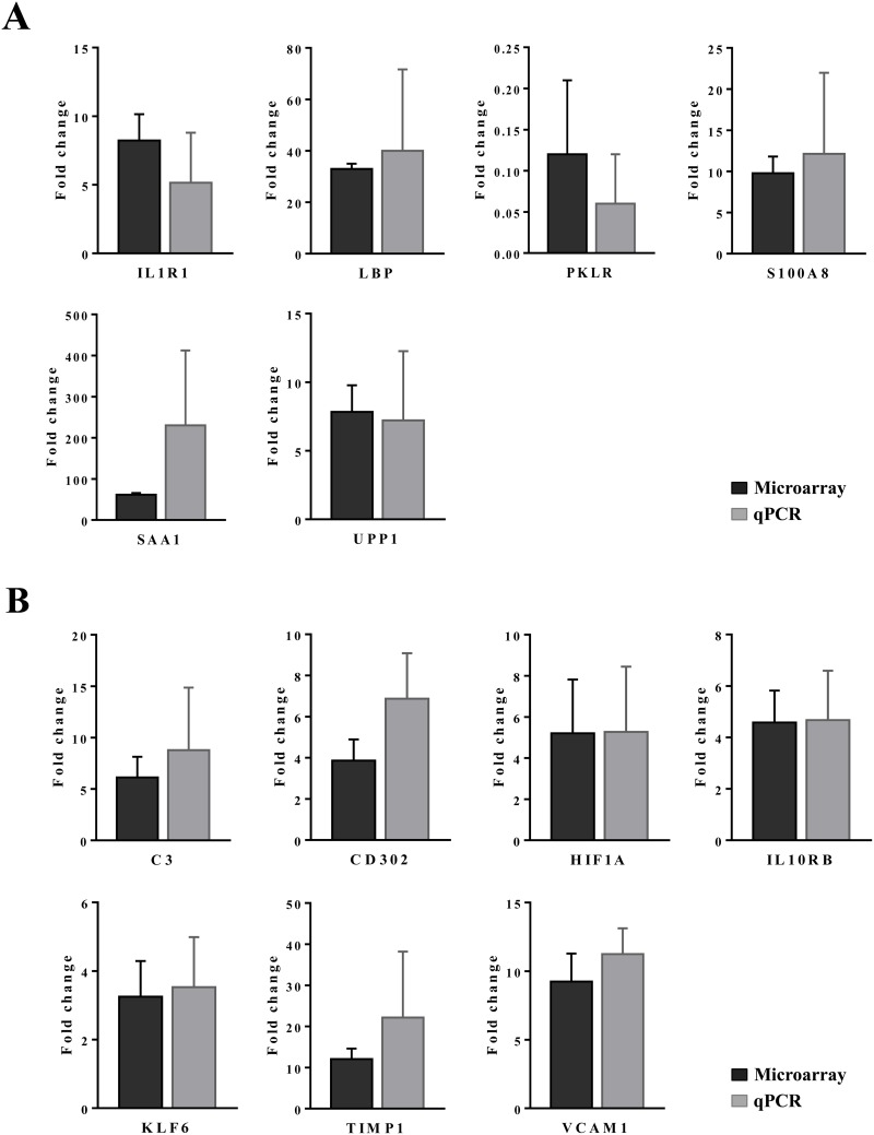 Figure 24