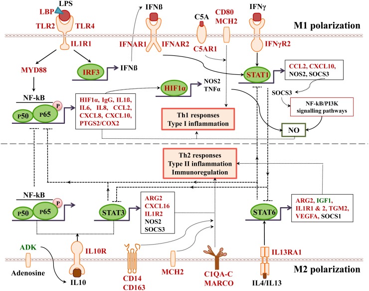 Figure 20