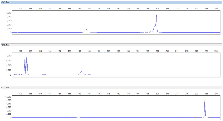 Figure 9