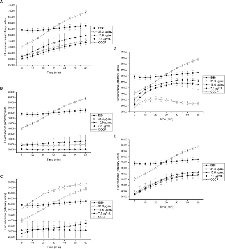 FIGURE 4