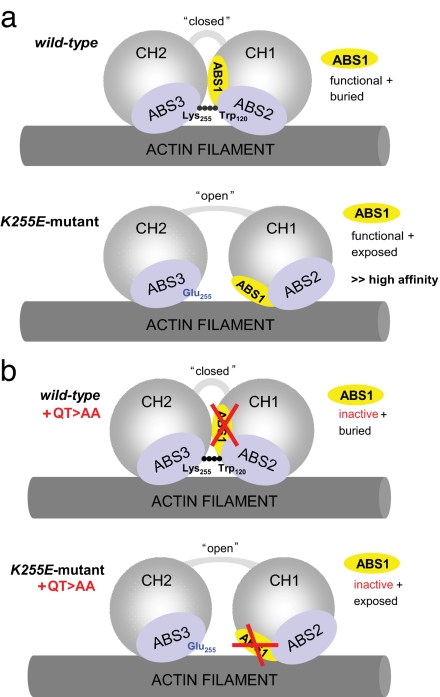 Fig. 6.