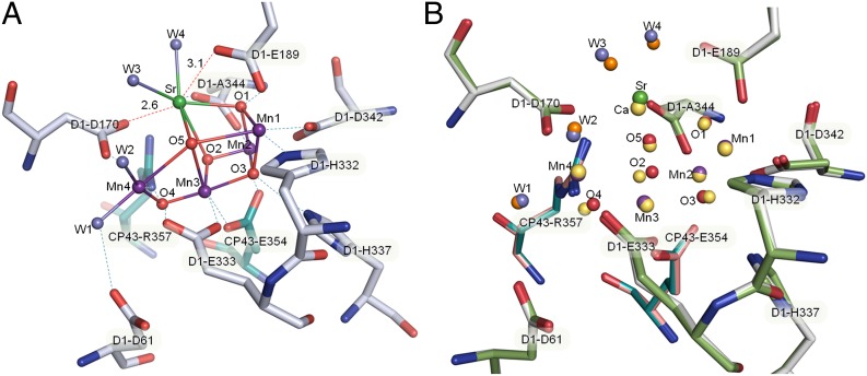 Fig. 3.