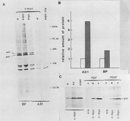 graphic file with name molcellb00141-0039-a.jpg