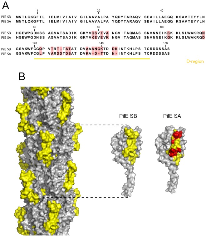 FIG 2 