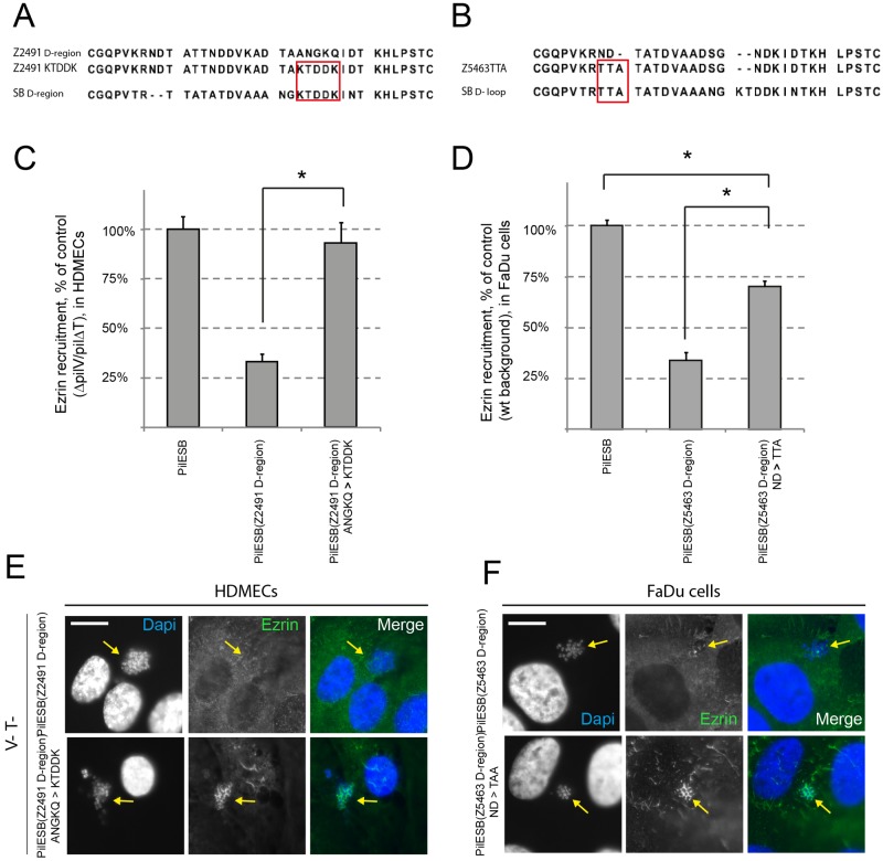 FIG 6 