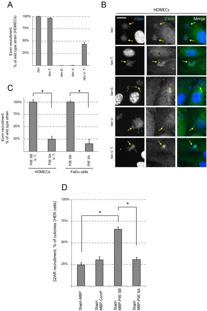 FIG 1 