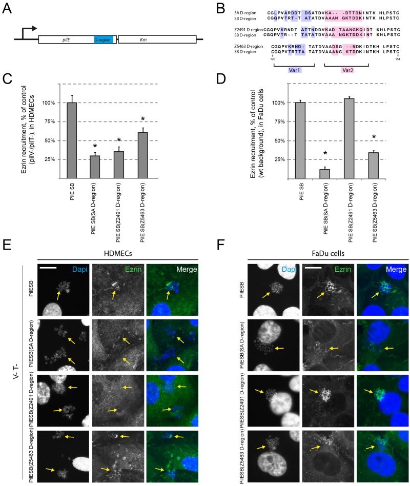 FIG 3 