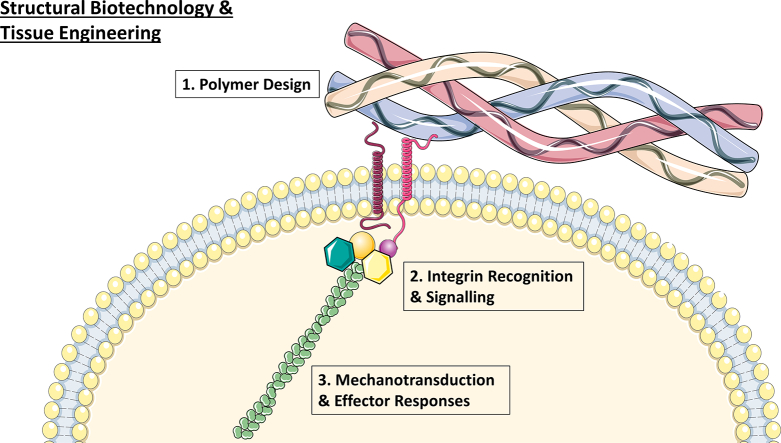 Unlabelled Image