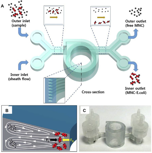 FIGURE 4