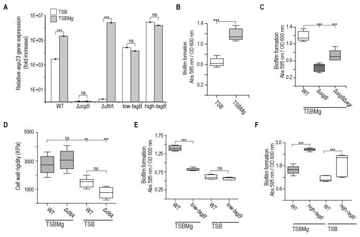 Figure 3.