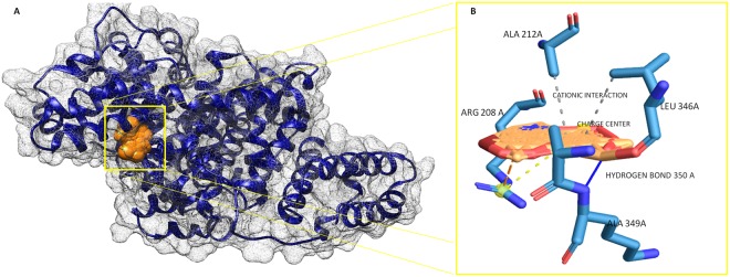 Figure 9