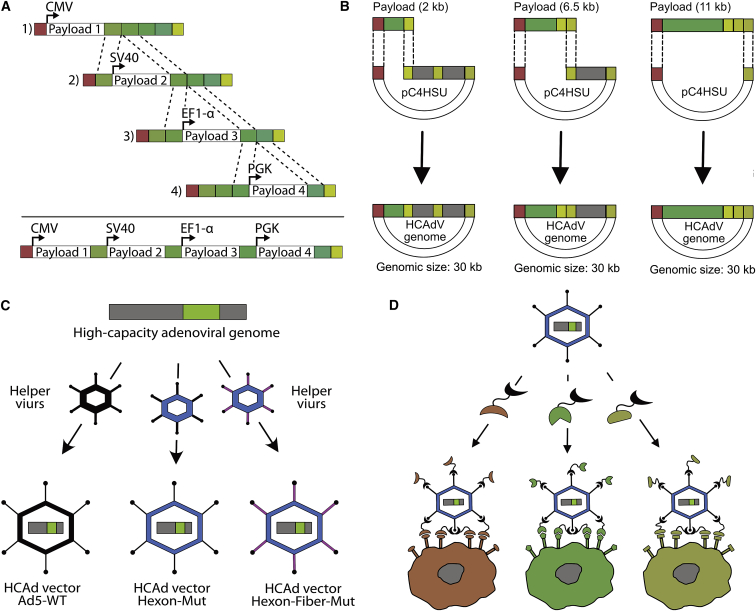 Figure 1