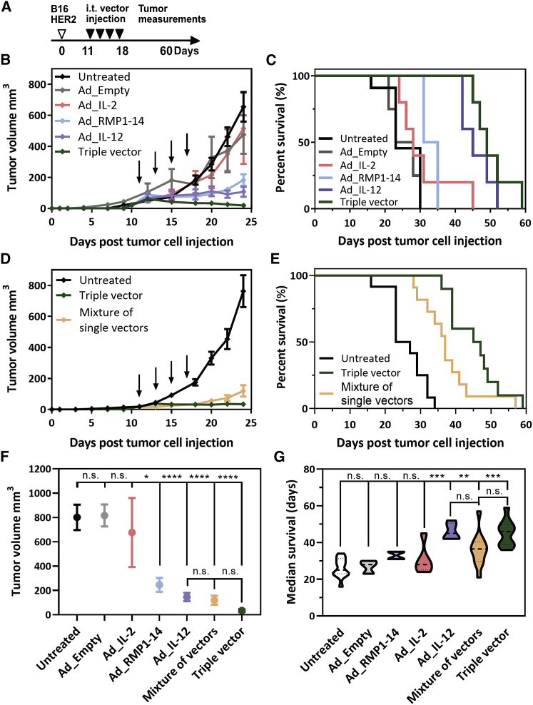 Figure 6