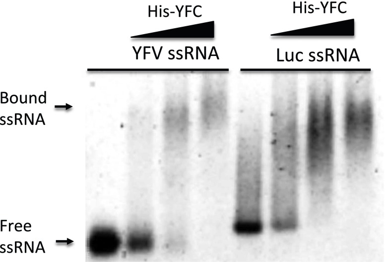 Fig. S3.