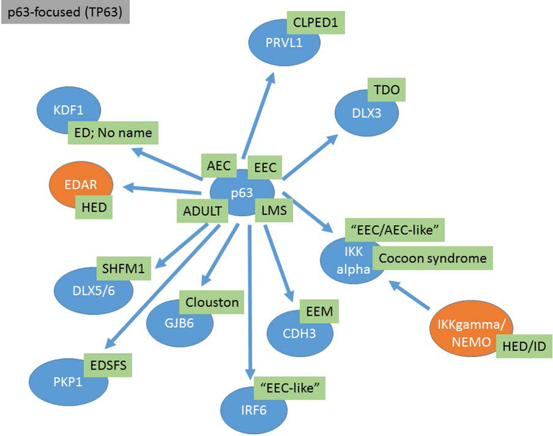 Figure 3: