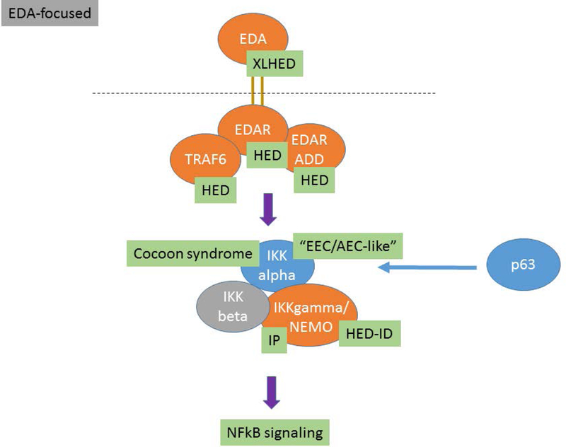 Figure 1: