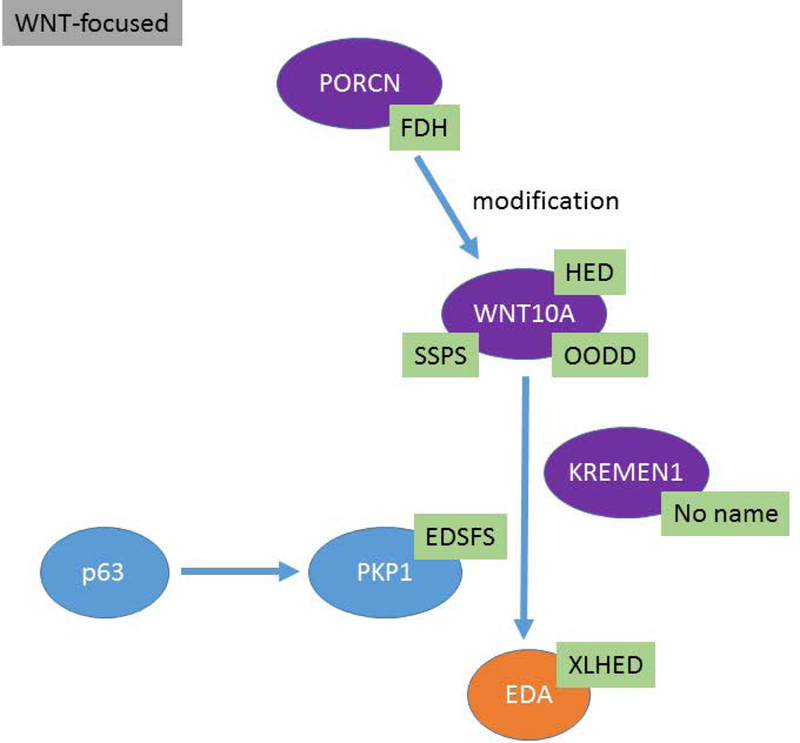 Figure 2: