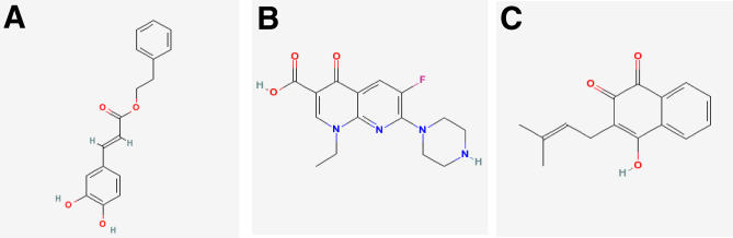 Figure 8