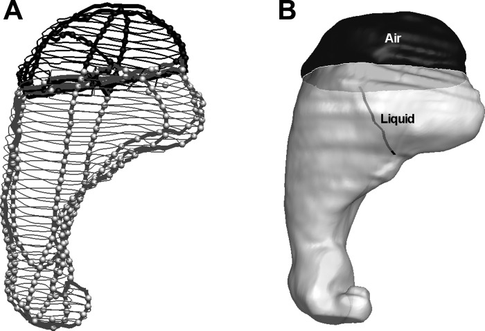 Fig. 5.