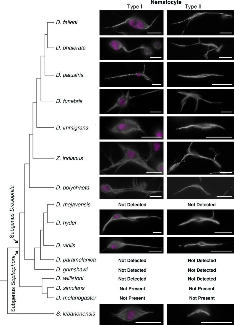 Fig 8