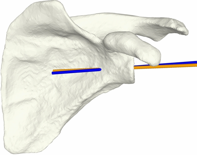 Fig. 5