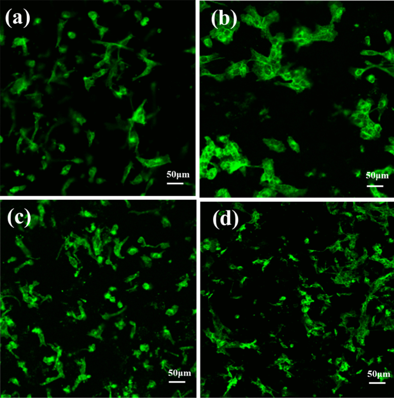 Fig. 10