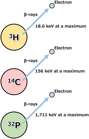 Health effects triggered by tritium: how do we get public understanding ...