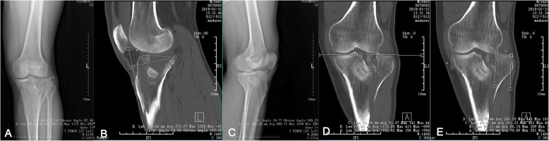 Fig. 5