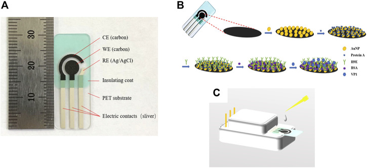 FIGURE 1