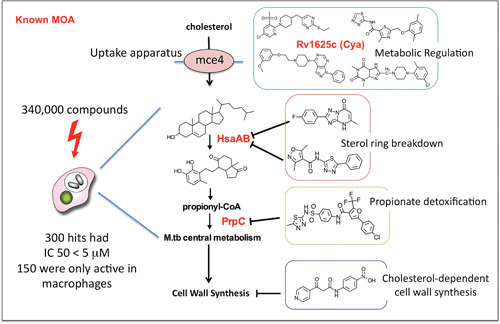 FIGURE 5