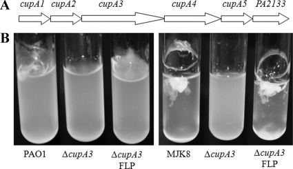 FIG. 7.