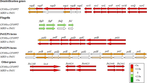 FIG. 4.