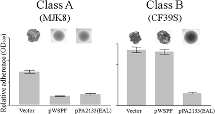 FIG. 2.