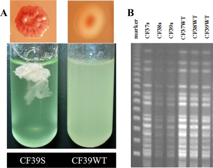 FIG. 1.