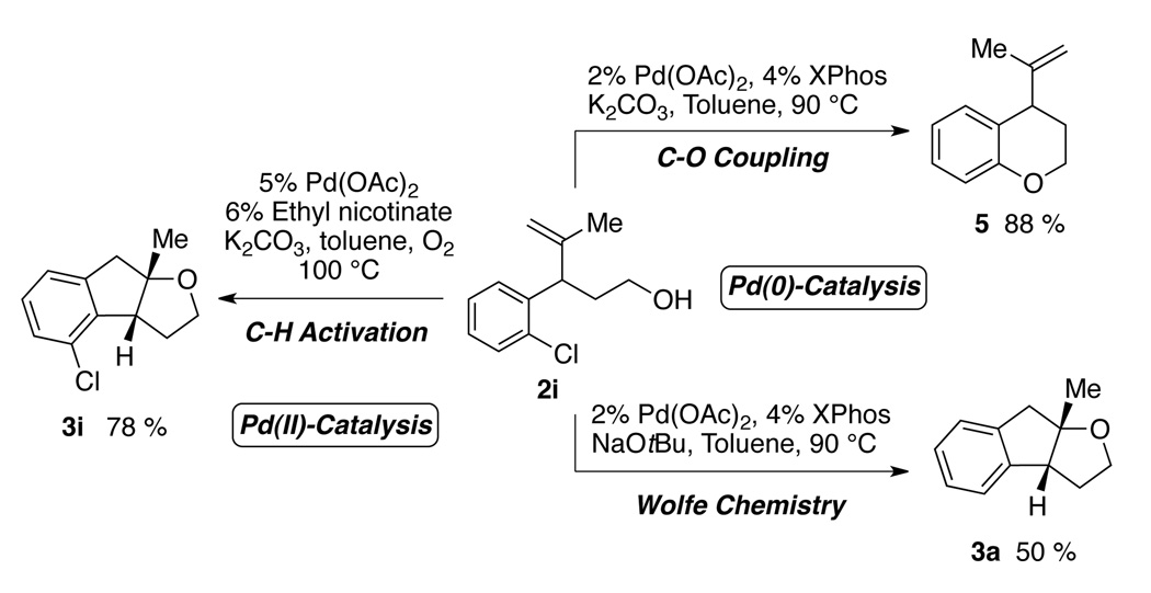 Scheme 3